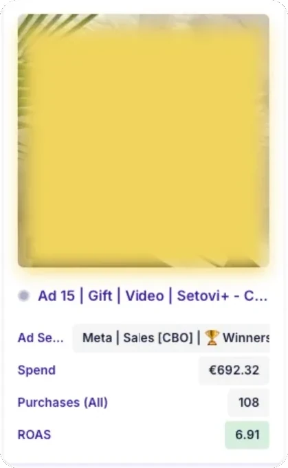 Meta reklama rezultat – ROAS 6.9x