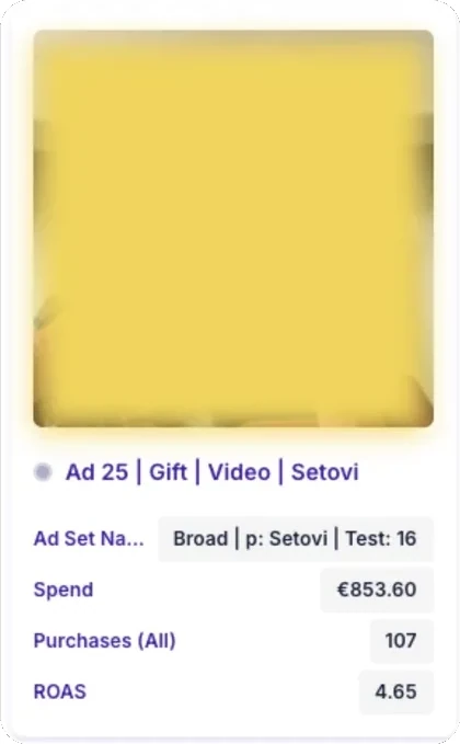 Meta reklama rezultat – ROAS 4.6x